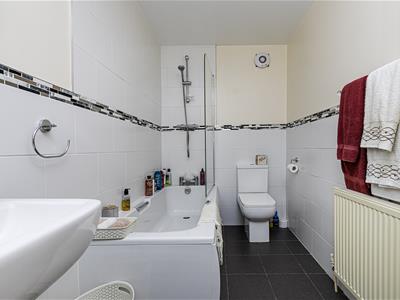 Picture 20